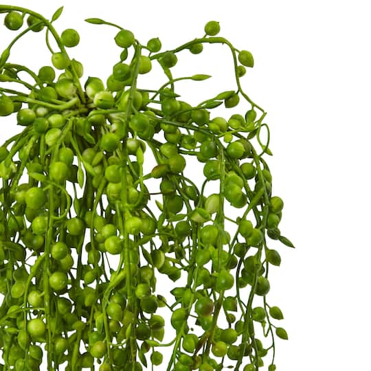 15" Senecio Succulent, 3ct.